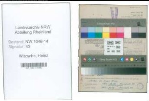 Entnazifizierung Heinz Witzsche , geb. 18.02.1906 (Ingenieur)