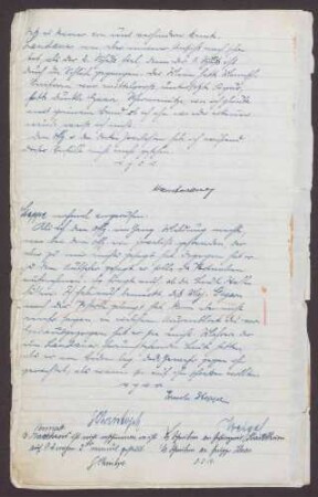 Weitere Vernehmung des Zeugen Ernst Steppe, Vizewachtmeister beim Freikorps Weilheim, über die Erschießung Landauers