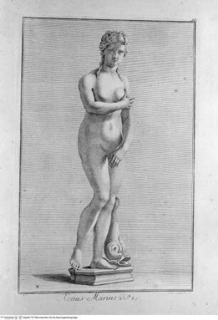 Recueil des marbres antiques qui se trouvent dans la galerie du roy de Pologne à DresdenTafel 10 - Venus Marine