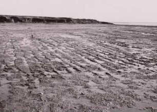 Nordfriesische Küste, Rungholt-Watt mit alten Pflugfurchen
