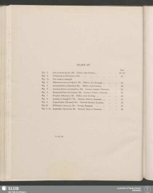 Plate IV.