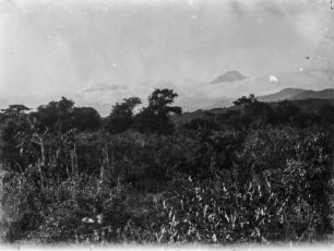 Landschaft und Kilimandscharo : Blick über die Landschaft von Mwika am Fuße des Kilimandscharo auf die Berge