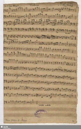 Violono