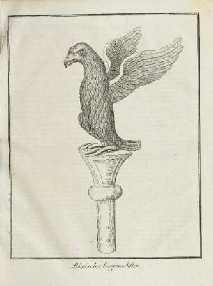 Illustration: Römischer Legions-Adler.