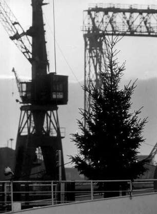 Hamburg. Hafen-Weihnacht. Ein beleuchteter Tannenbaum steht am Kai
