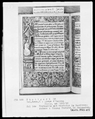 Lateinisches Stundenbuch (Livre d'heures) — Christi Einzug in Jerusalem, Folio 24verso