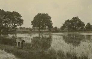 Wiesenteiche bei Königswartha