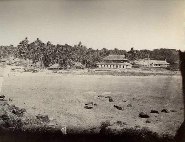 Tellicherry, landscape with palm trees, houses and boats