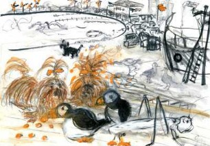 Eckernförde - Zwiesprache der Tiere 0617