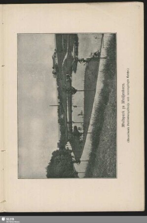 Waldpark zu Weißenborn. (Neuerbaute Verbindungsstraße und neuangelegte Teiche)