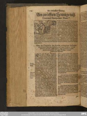 Am sechtzehenden Sontage nach Trinitatis/ Evangelium Luc. 7.