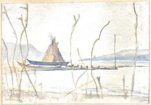 Gsaenger, Gustav; Bodensee; Landschaftsstudien - Reichenau (Studie)