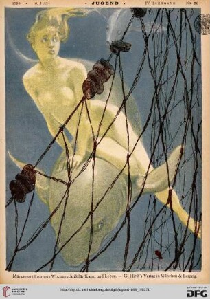 Nr. 24 (10. Juni 1899)