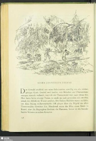 Stern des stillen Ozeans