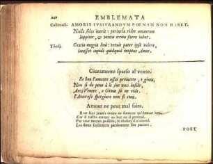 Amoris Ivsivrandvm Poenam Non Habet