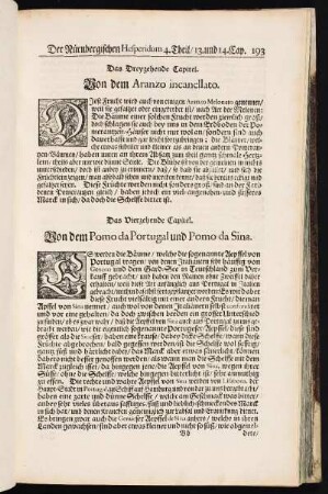 Das Vierzehende Capitel. Von dem Pomo da Portugal und Pomo da Sina.