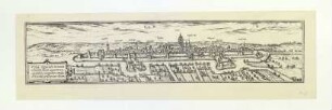 Ulm von Norden. 1572.