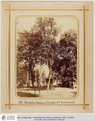 Herrngarten-Ausgang a. d. Promenade : Bildliche Darstellung