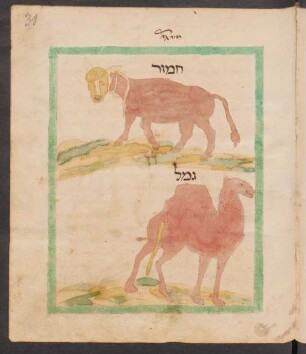Illustration: f. 31r-31v