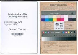Entnazifizierung Theodor Demann , geb. 05.01.1905 (Anwalt)