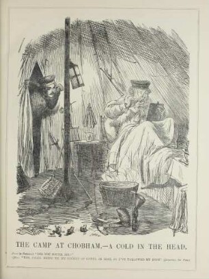 The camp at Chobham. - A cold in the head