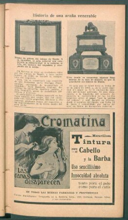 Historia de una araña venerable