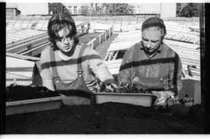 Kleinbildnegativ: Bezirksgärtnerei, 1986