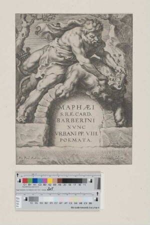 MAPHÆI S.R.E. CARD. BARBERINI NVNC VRBANI PP. VIII. POEMATA