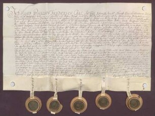 Instrumentum probationis Grafen Hugo Philipp von Schönborn.