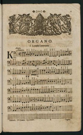 1-40, Organo