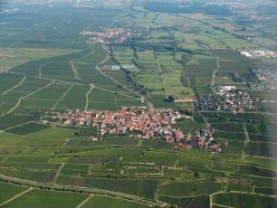Ungstein (Pfalz)