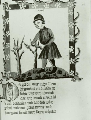 Illumination eines Lehrbuchs der Astronomie: Schriftspiegel und Bauer beim Baumveredeln Monatsbild März : Illustration Monatsbild März, Bauer beim Baumveredeln