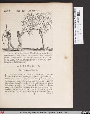 Des Prunes D`Icaque.