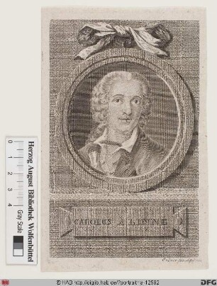 Bildnis Carl von Linné (lat. Carolus Linnaeus)