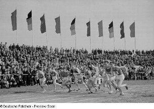 Start eines Laufwettkampfs im Bruno-Plache-Stadion