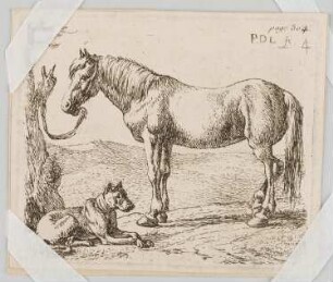The set of the horses (6 Blatt): 4. The horse and the dog