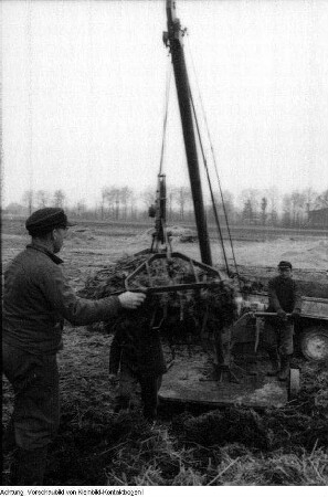 Landwirtschaft, Januar - März 1956