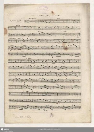 Contrabasso