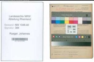 Entnazifizierung Johannes Rueger , geb. 01.01.1901 (Jurist)