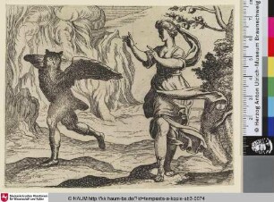 [Proserpina verwandelt Askalaphos in eine Eule; Proserpina turning Ascalaphus into an owl]