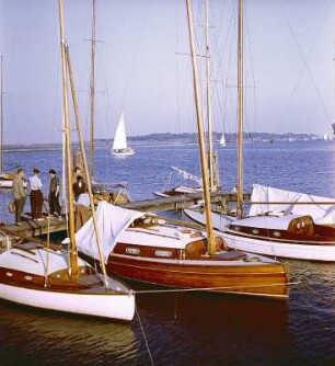 Stralsund. Hafen mit Segelschiffen