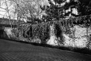 'Büchner-Mauer'; Darmstadt, Grafenstraße 39
