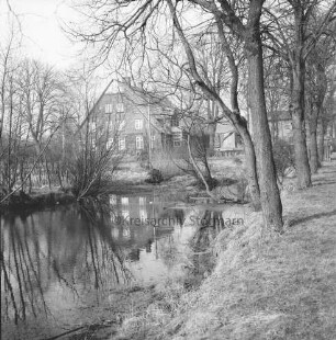 Kleiner Teich mit Büschen: rechts Baumreihe: dahinter Bauerngehöft