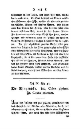 ¬Die¬ Singmücke : Taf. IX, Fig. 43