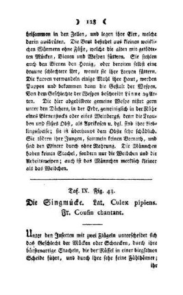 ¬Die¬ Singmücke : Taf. IX, Fig. 43