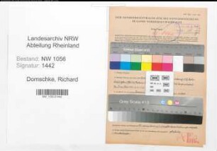 Entnazifizierung Richard Domschke , geb. 22.02.1896 (Lehrer)