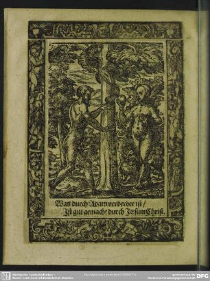Was durch Adam verderbet ist, Ist gut gemacht durch Jesum Christi