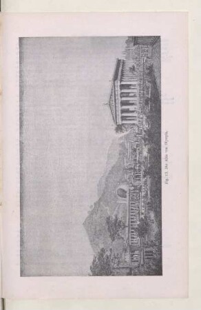 Fig. 13. Die Altis von Olympia