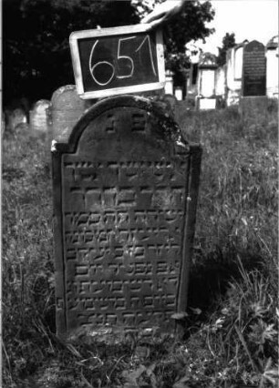 Grabstein 651 (Index: 100104943) Material: Sandstein Zustand: leicht verwittert Maße HxBxT: 90x44x7 cm Beschreibung: Stele, eingezogener Rundbogenabschluss, Schriftfeld eingetieft: Grabstein 651