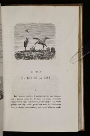 La Fille Du Roi De La Vase